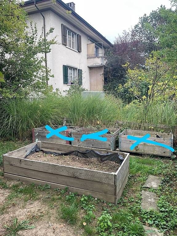 Pots de fleurs: Grosses Hochbeet – D'occasion à Köniz par css_pjq9