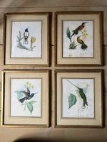 4 alte Vogel - Bilder 34  x 39 cm