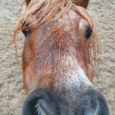 Profile image of Mcmoni_g