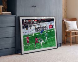 FC St.Gallen Cupfinal Tor Kunst Modern FCSG Bild Pop Art