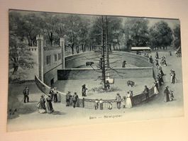 BERN - Bärengraben - Ansichtskarte