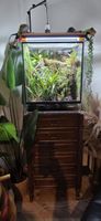 Terrarium mit Unterschrank und Bepflanzung