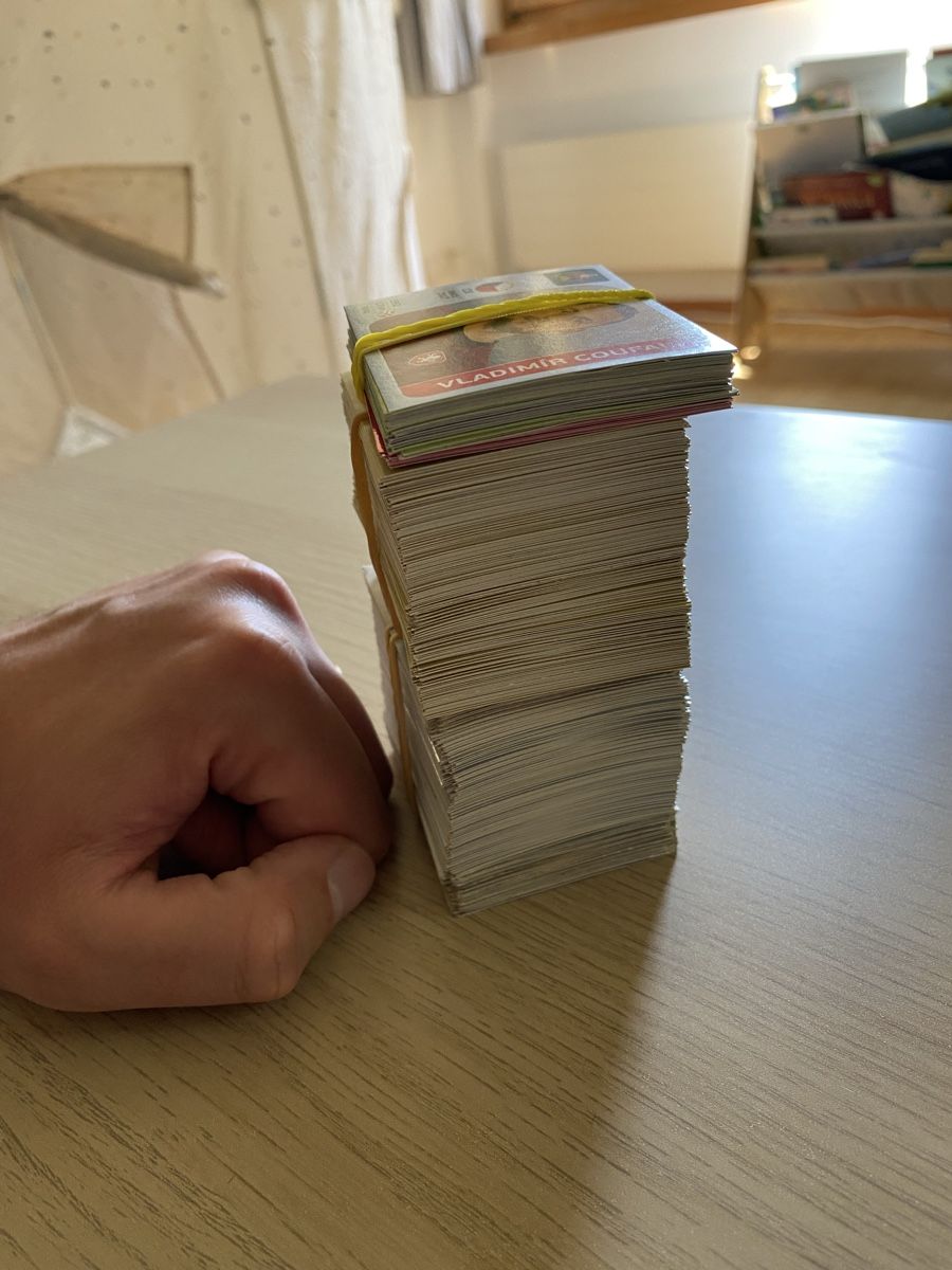 Panini Carte collezionabili: Ca. 460 Panini Stickers verschiedene Jahre – Usato da Haldenstein venduto da lisipe 4