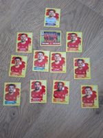 Panini Bilder WM 26