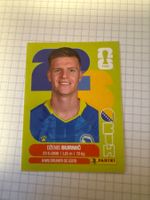 Panini Sticker WM 2026, BIH 14 Dzenis Burnic