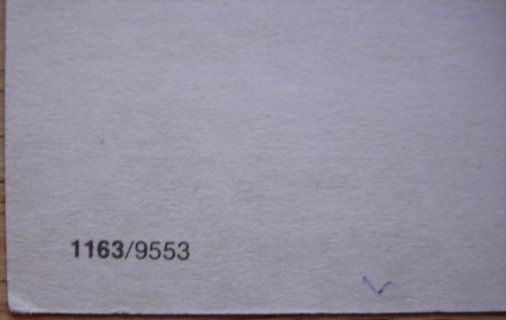 Cartoline postali: Ansichtskarte ungelaufen - Sonogno / Valle Verzasca – Usato da Dübendorf venduto da rumpumpel 5