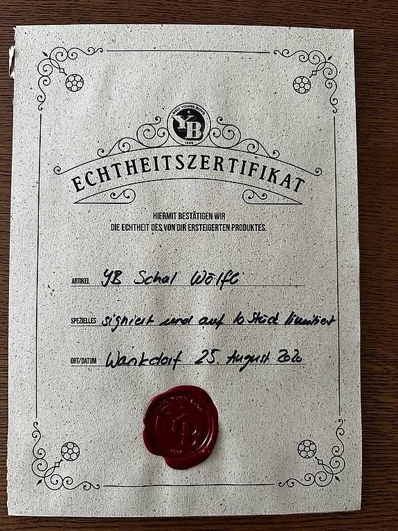 Foulards, Tücher & Schals: Limitierter YB - Schal zu verkaufen – Gebraucht aus Detligen von zaungast17 4