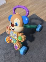 Fisher-Price Hund Laufwagen mit vielen Lichtern und Tönen