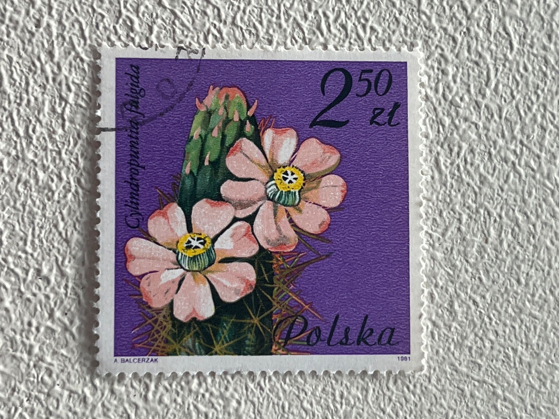 Tutti i francobolli: Polen Briefmarke – Usato da Chiasso venduto da AzenYa