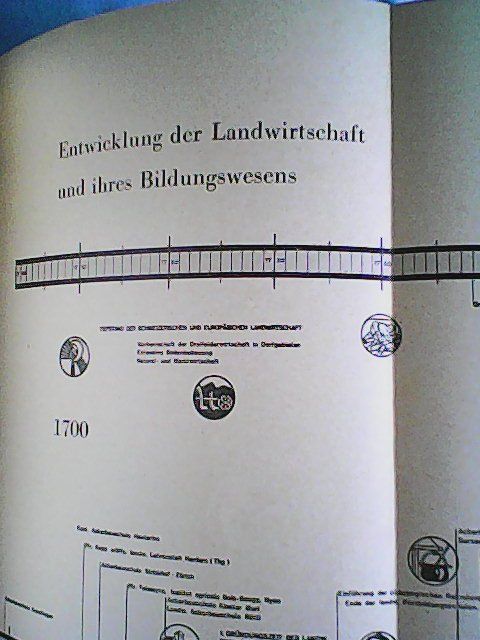 Libri: Der Schweizerische Bauernkrieg von 1653 – Usato da Rümlang venduto da Vuvuzella 2