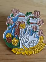Pin 20 Jahre Betagtenzentrum Eichhof/ Simone Erni