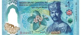 Brunei 1 Ringgit Polymer P-41 UNZ