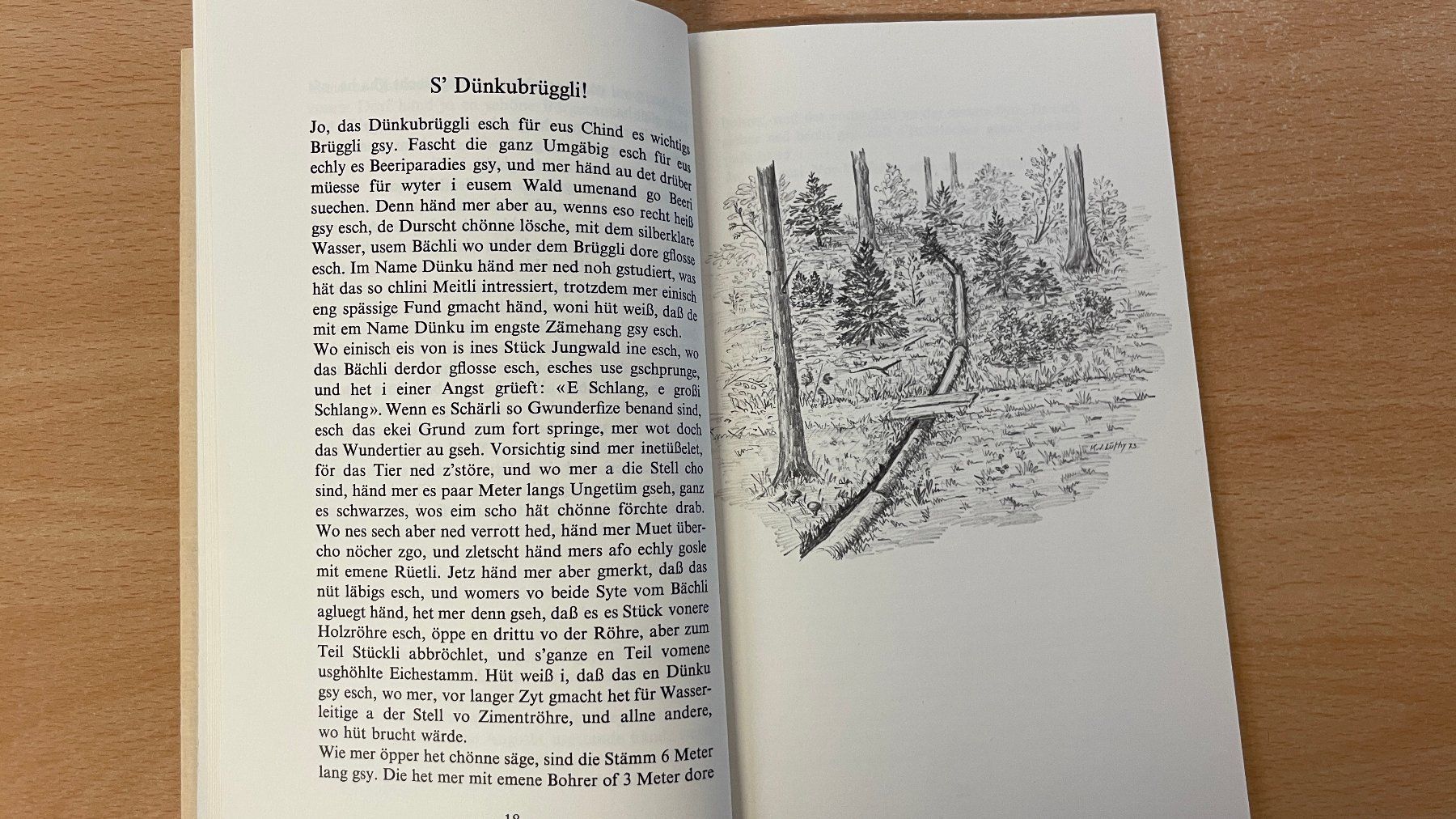 Libri: Öppis us mim Heimatdorf – Usato da Glattfelden venduto da cybermaxx 2