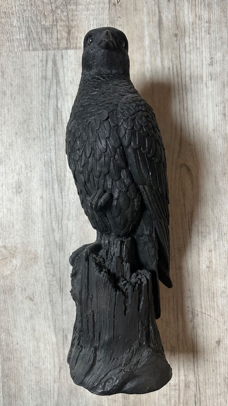 Skulpturen & Statuen: Schwarzer Raubvogel, Skulptur, Figur, Garten Deko – Gebraucht aus Arisdorf von nde_q52j 1