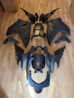 BMW M1000RR Verkleidung 