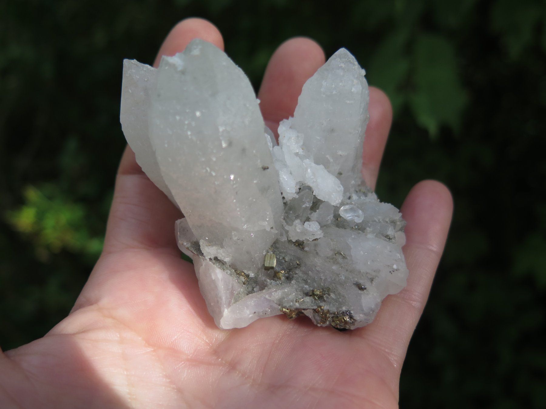 Mineralien & Heilsteine: Bergkristall mit Pyrit – Gebraucht aus Schaffhausen von Yamakana51L8736OQ8 2