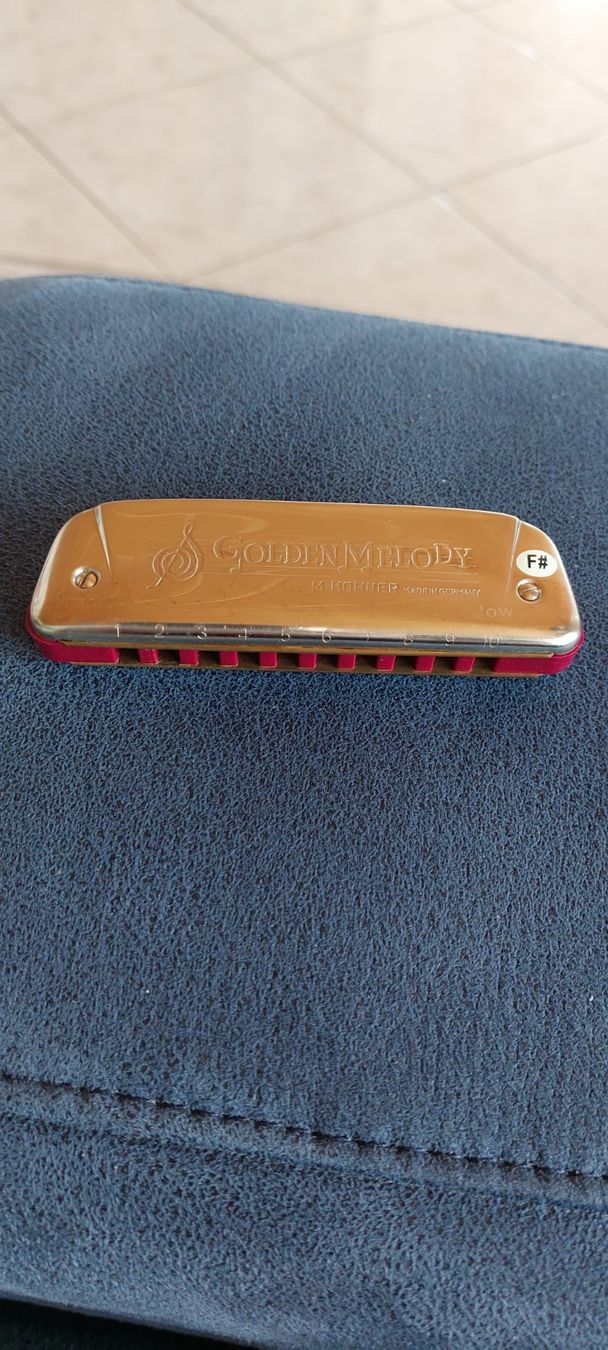 Hohner Musikinstrumente: Hohner Golden Melody 542/20 LowF# – Neu (gemäss Beschreibung) aus Uffikon von Bbingo 3