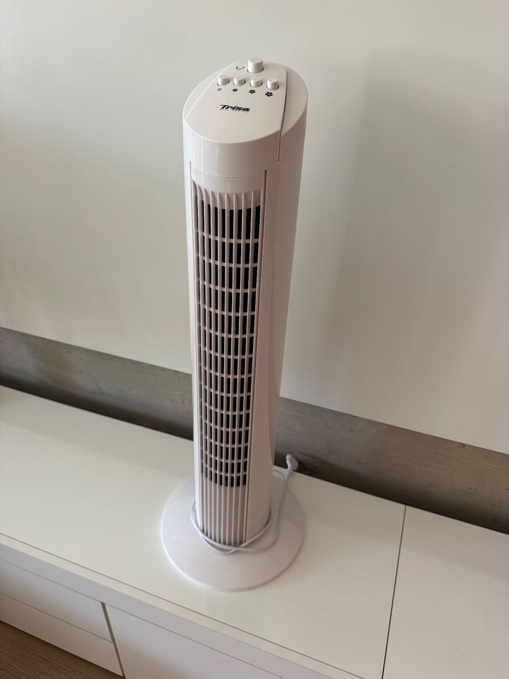 Trisa Ventilatoren: Trisa Electronics Ventilator, 45W – Gebraucht aus Zürich von Artcore 1