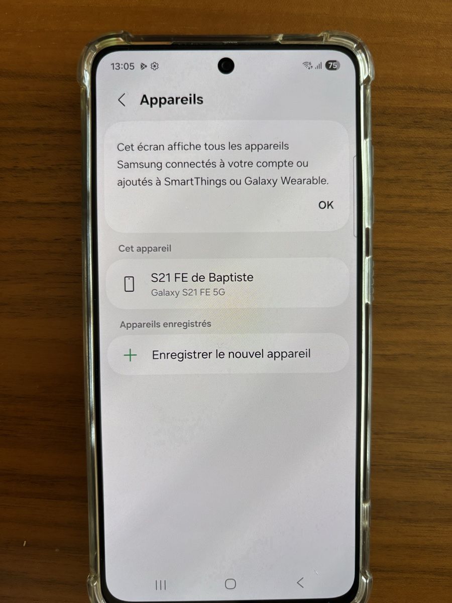 Samsung Telefoni cellulari / Smartphones: Galaxy S21 FE – Usato da La Chaux-de-Fonds venduto da bap_vsc9 1