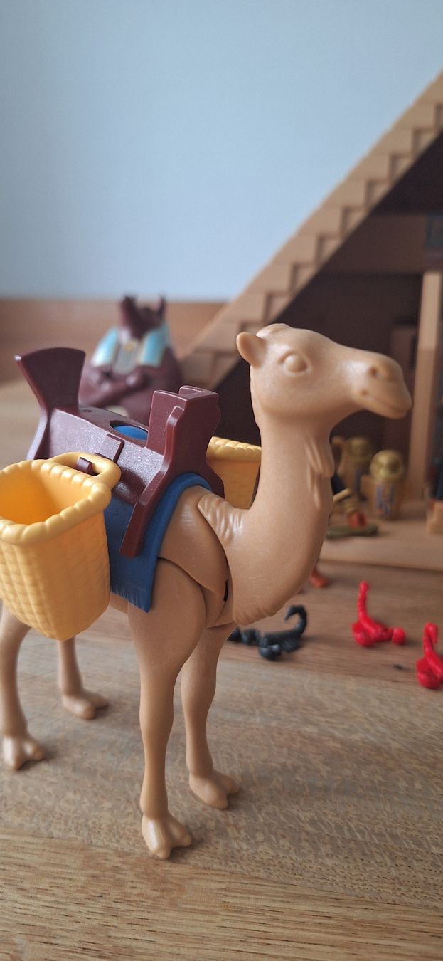 Playmobil Spielzeuge: Playmobil Pyramide 4240 – Gebraucht aus Grabs von tschanny 3