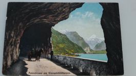 Axenstrasse am Vierwaldstättersee, Pferdekutsche