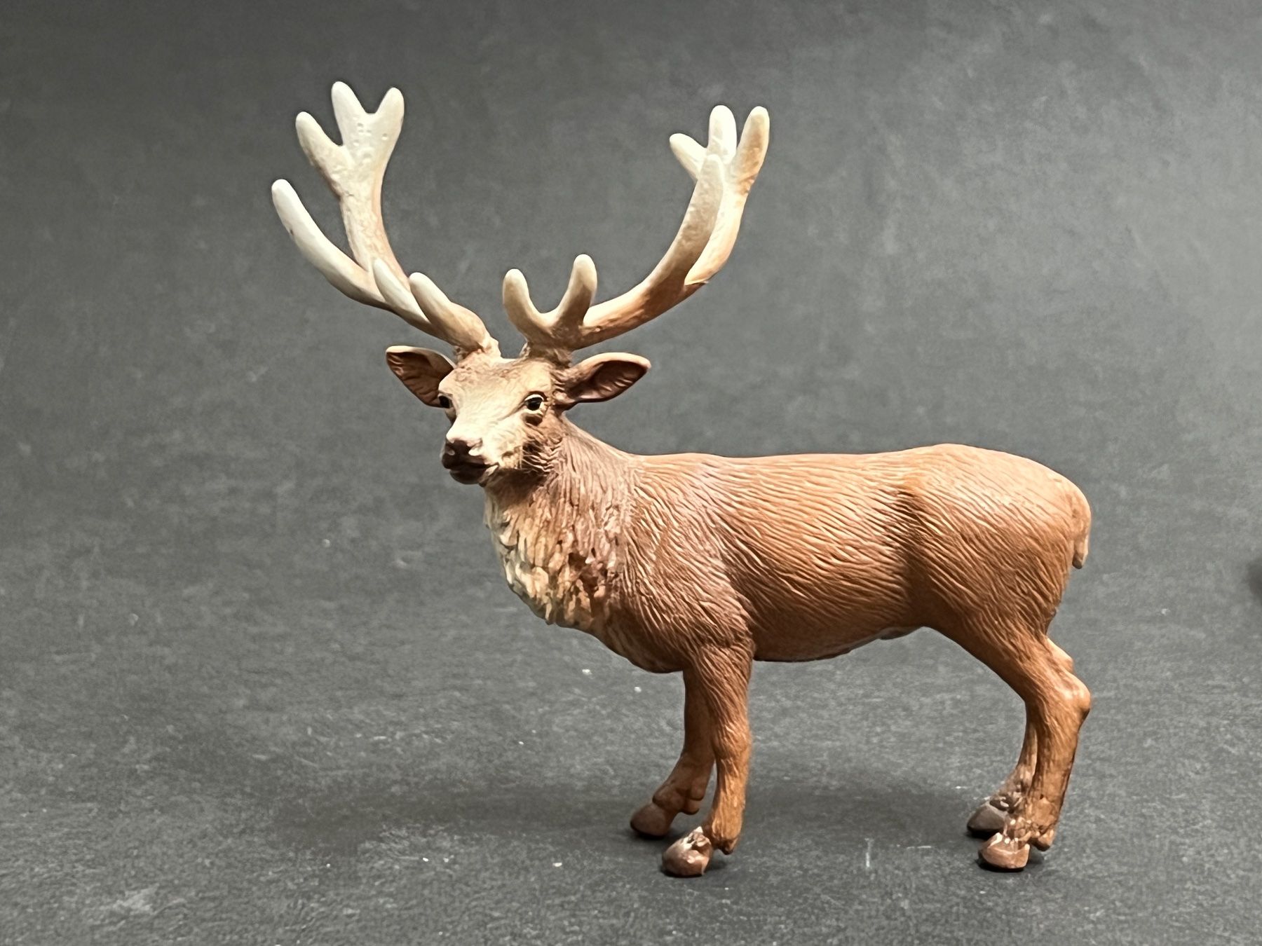 Schleich Statuette: Schleich Rothirsch Hirsch Kuh – Usato da Ennetbaden venduto da mapa05 2