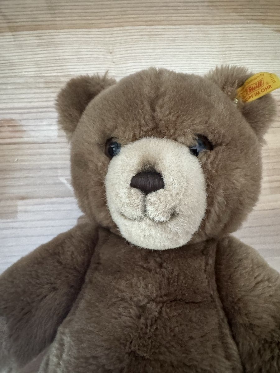 Giocattoli: Sehr schöner Streiff Teddy – Usato da Hägendorf venduto da laumatt 3