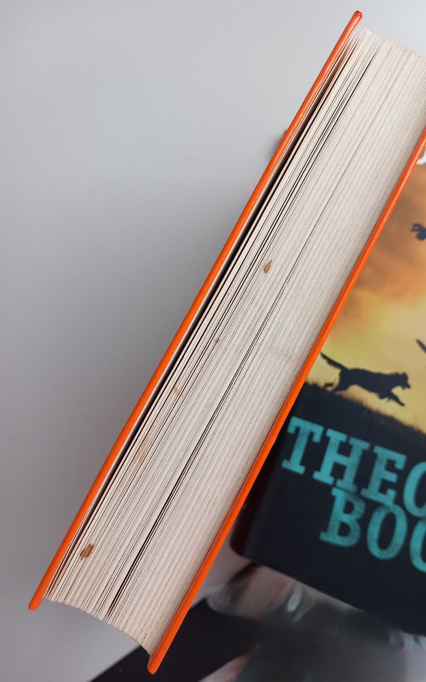 Bücher: 3 verschiedene Jugendbücher – Gebraucht aus Lindau von san_kg2j 4
