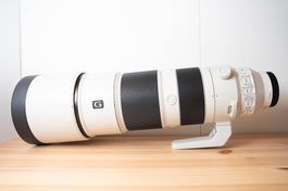Sony FE 200-600 mm G OSS