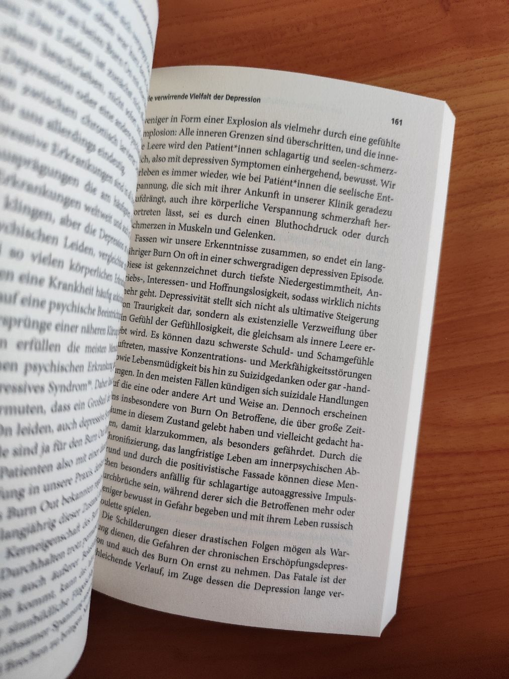 Libri: Burn On von Bert te Wildt Timo Schiele  – Usato da Mägenwil venduto da VintageGirly 3