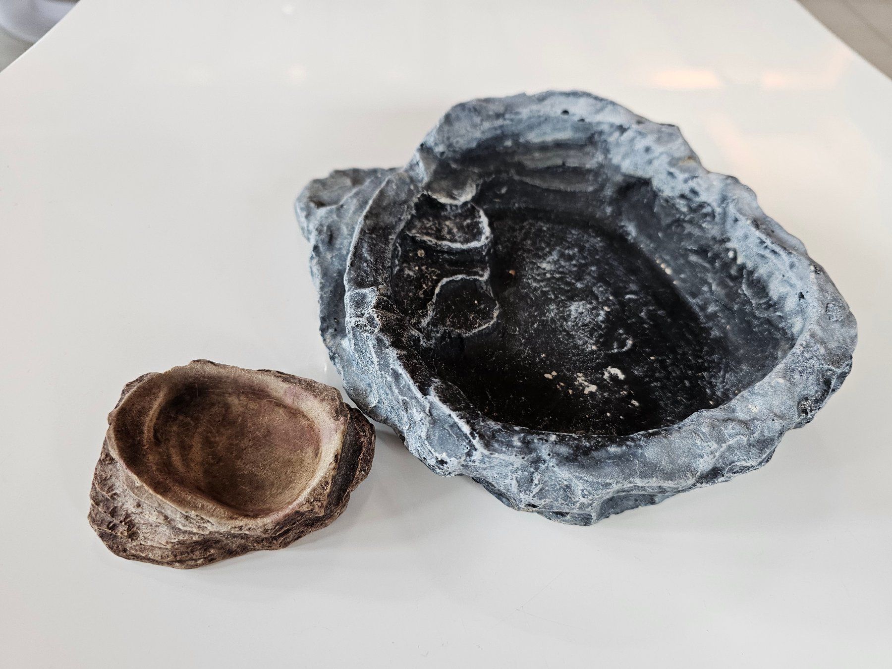 Terrario: Zwei Futter- oder Wasserschalen für Terrarien – Usato da Einigen venduto da Pretorius66 3