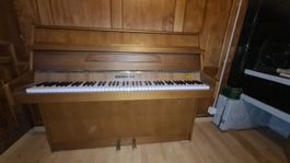 Klavier b.squire, 1.– VP, selber abholen