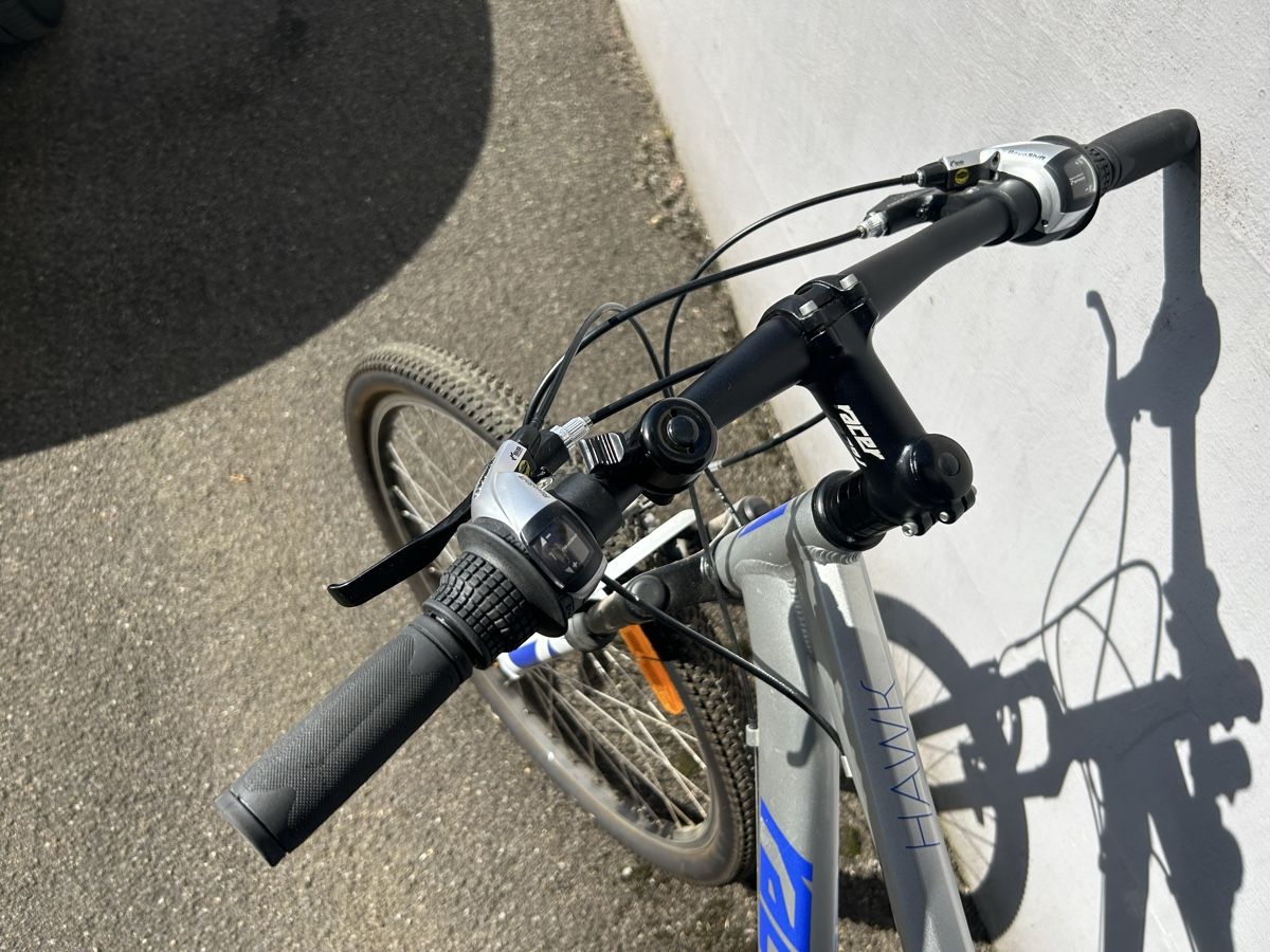 Raleigh Biciclette: Raleigh Hawk Mountainbike – Usato da Niederglatt ZH venduto da VC1991 1