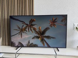 Samsung The Frame 55"