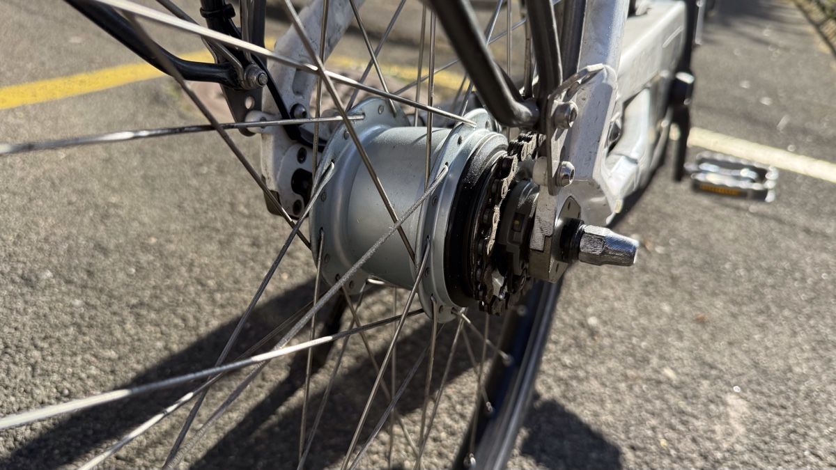 Flyer Biciclette: FLYER E-Bike C-Serie 45 cm S – Usato da Schlieren venduto da lulupupi 5