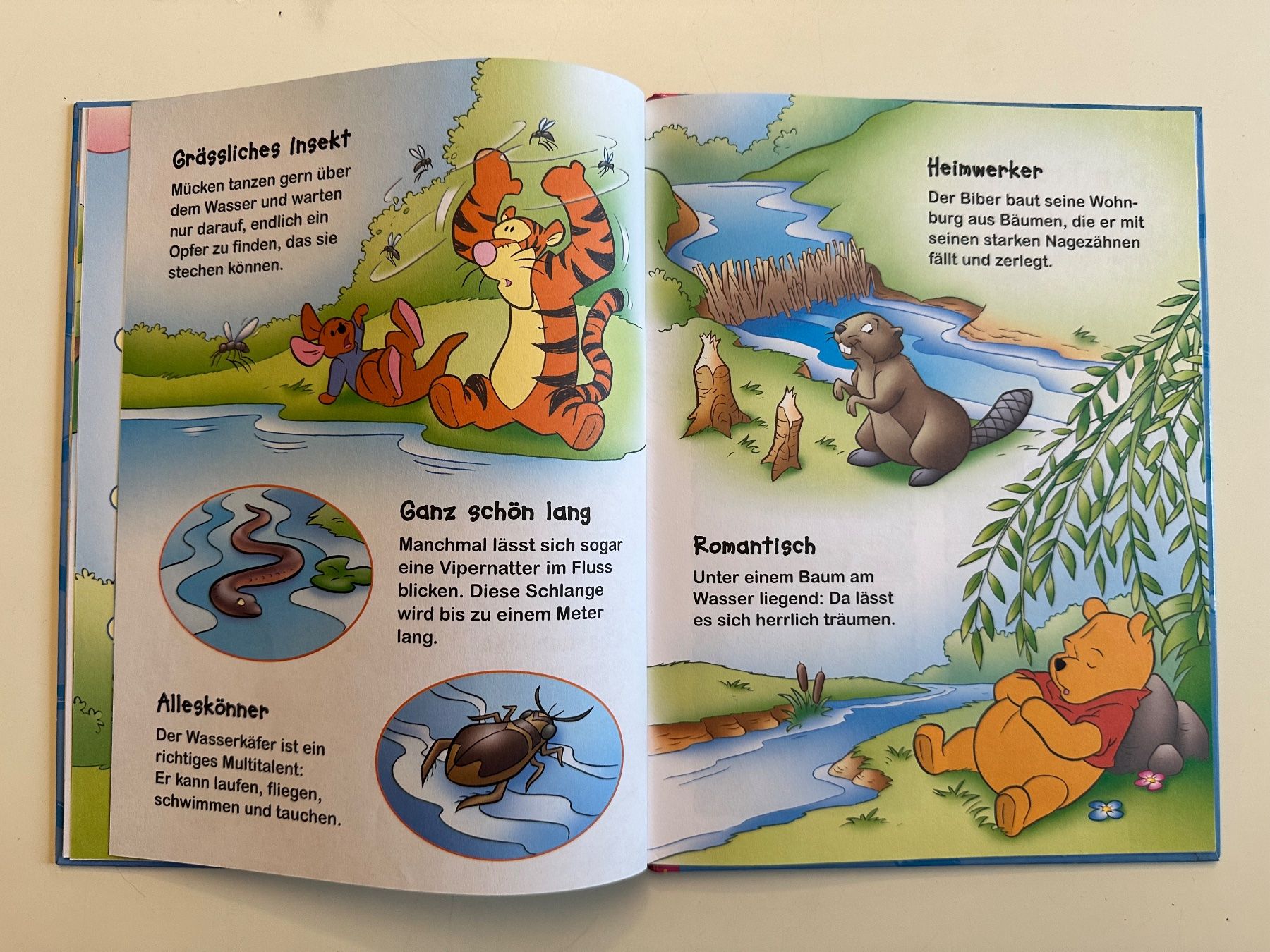 Libri: Winnie Puuh - Entdecke den Fluss – Usato da Münsingen venduto da Ganjam 6