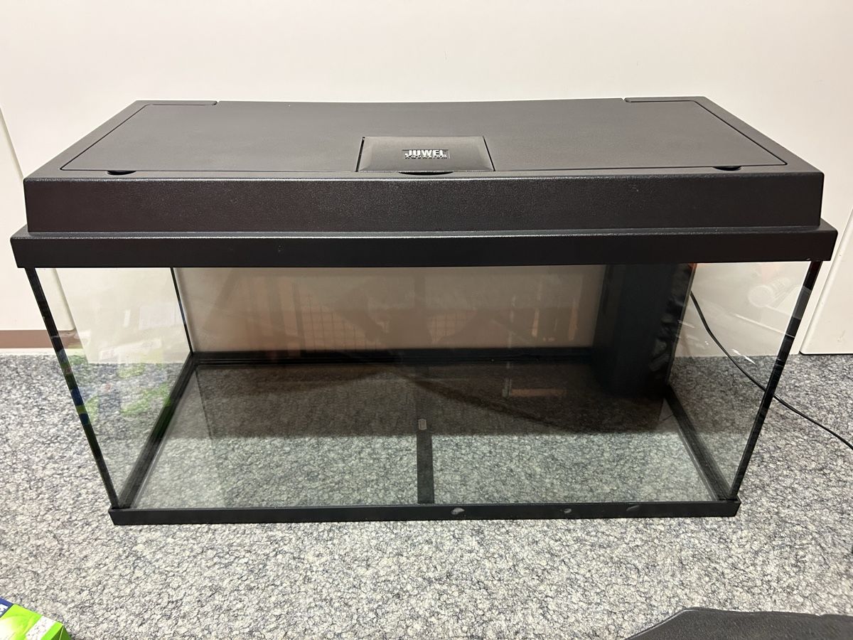 Juwel Acquari: JUWEL Aquarium mit Zubehör – Usato da Grossaffoltern venduto da noemi6773