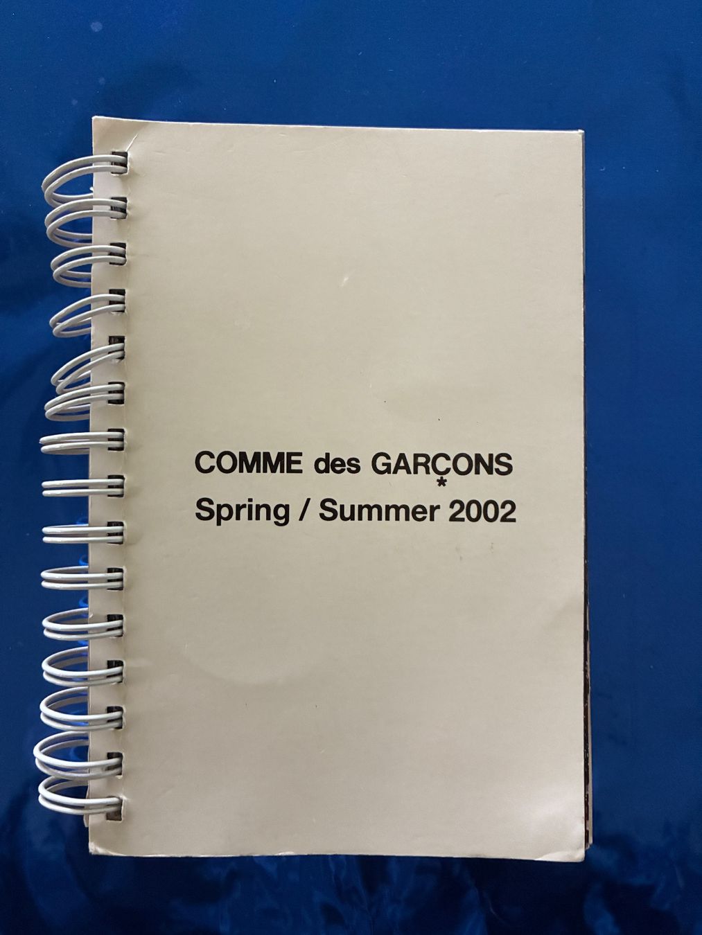 Riviste & Magazine: Comme des Garçons Lookbook Spring/Summer 2002 – Usato da Aarwangen venduto da nemkin61