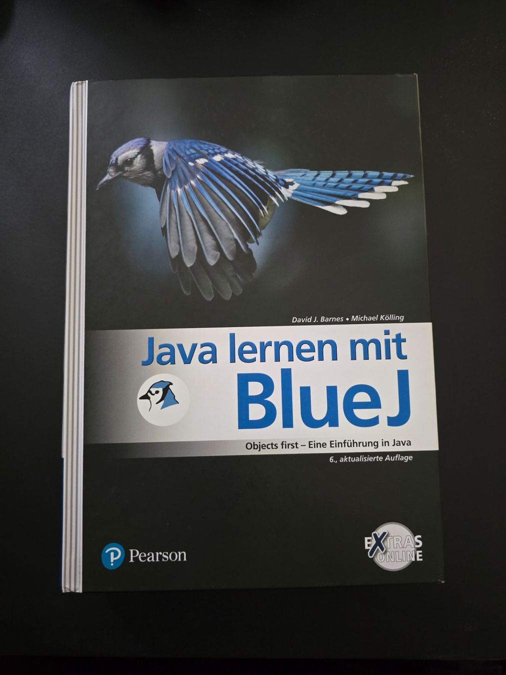 Bücher: Java lernen mit BlueJ – Gebraucht aus Frauenfeld von osx