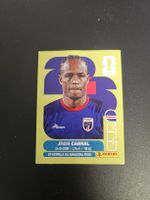 panini cpv 16