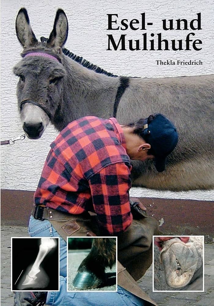 Libri: Esel- und Mulihufe – Nuovo (secondo la descrizione) da Schaffhausen venduto da Reporter