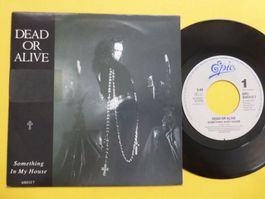 Dead Or Alive – Something In My House