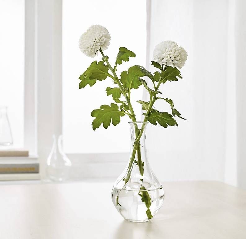 Vasen & Gefässe: Vase klein – Gebraucht aus Thun von MelAaare 1