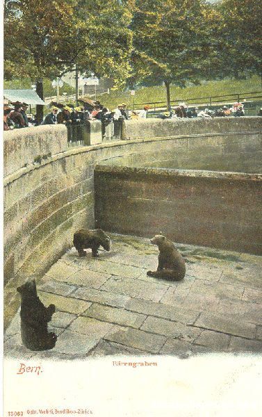 Cartoline postali: Bern - Bärengraben + c1900 – Usato da Emmenbrücke venduto da teestube