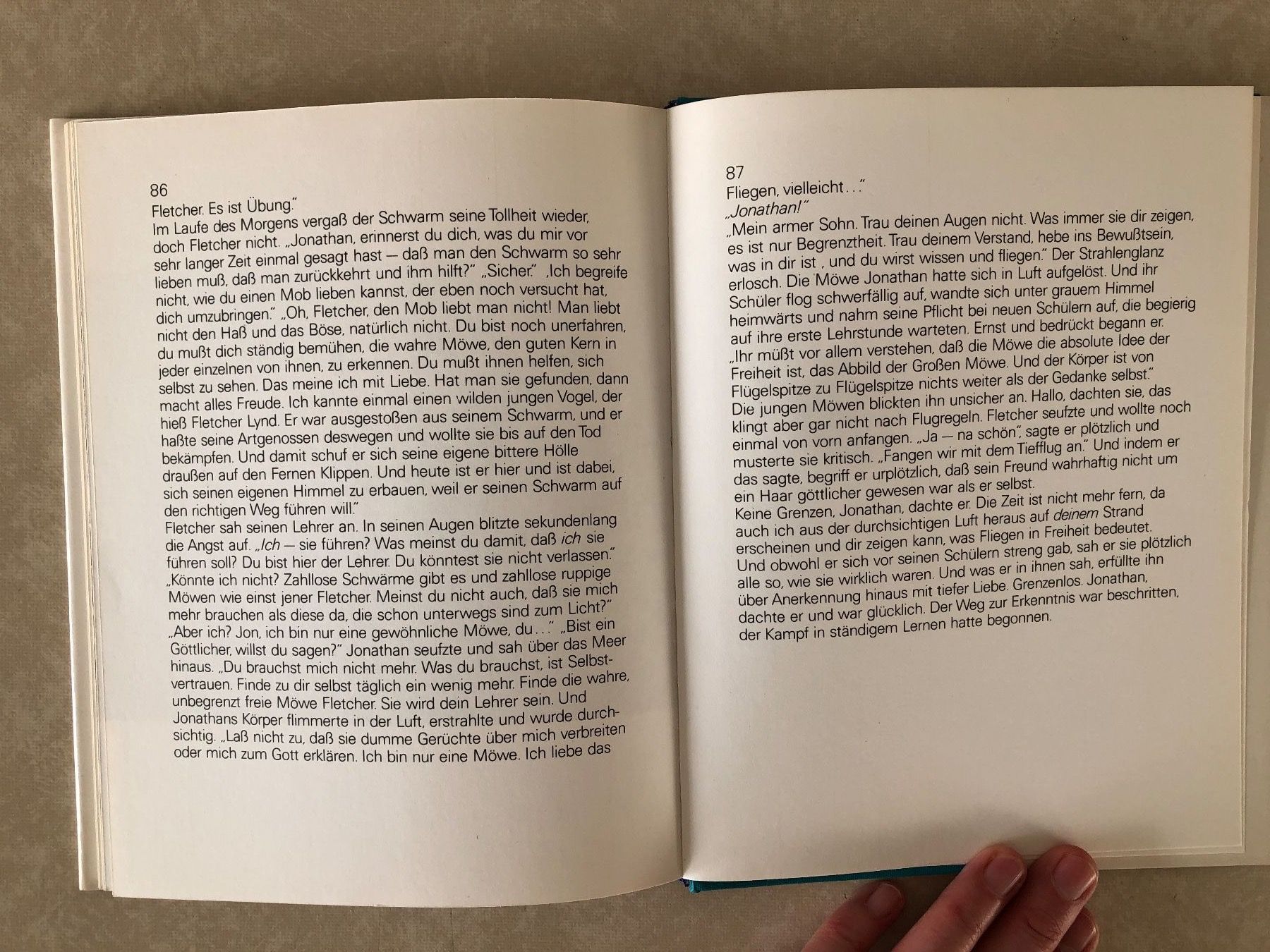 Libri: Die Möwe Jonathan, Bach/Munson, Ullstein – Usato da Balzers venduto da Bastlerherz 1