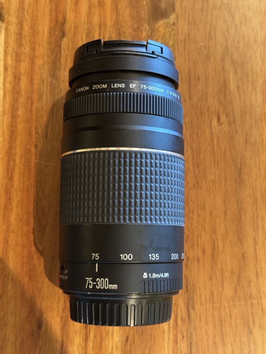 Canon Objektive: Canon lens EF 75-300 mm – Gebraucht aus Matzingen von san_zh2r