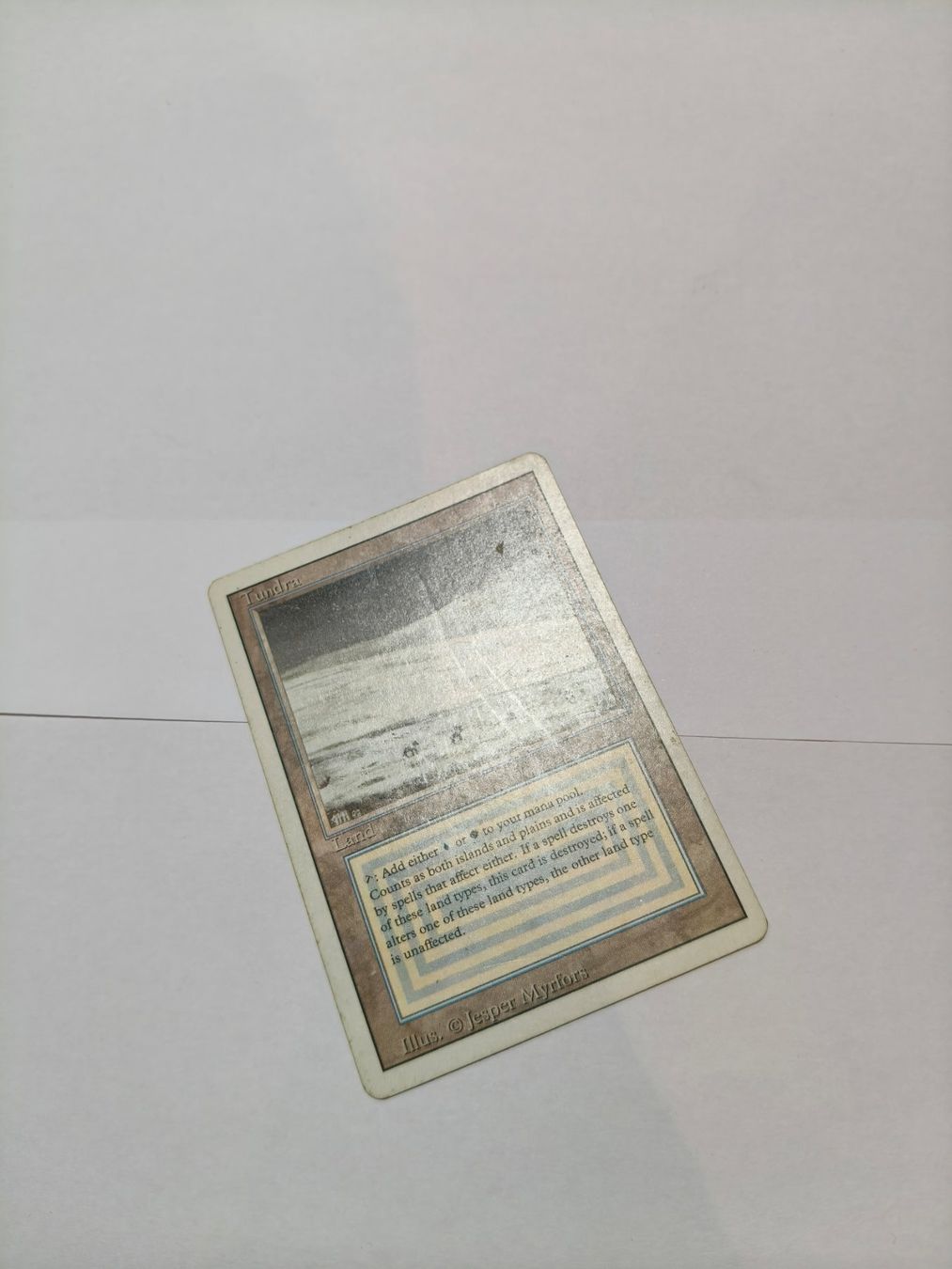 Magic The Gathering Sammelbilder & Trading cards: Tundra - Revised – Gebraucht aus Zürich von schafi1980 4