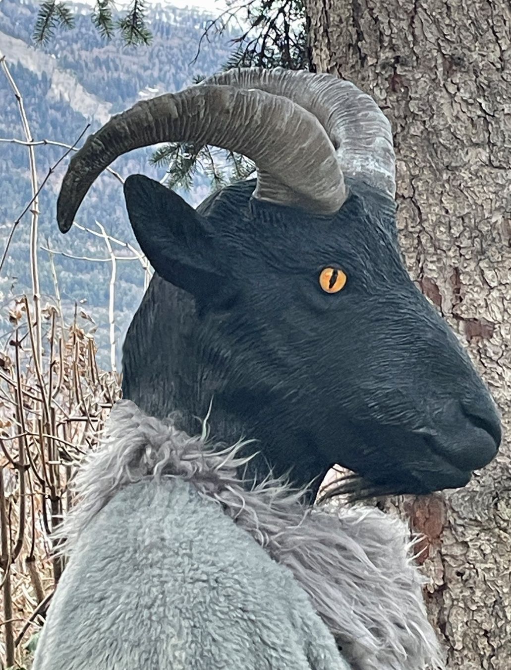 Costumi: Steinbock-Kostüm Grau – Nuovo (secondo la descrizione) da Chur venduto da elifor 4