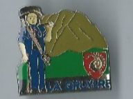Placchette & Badge: La Gruyere - Pin – Usato da Zürich venduto da t24_de