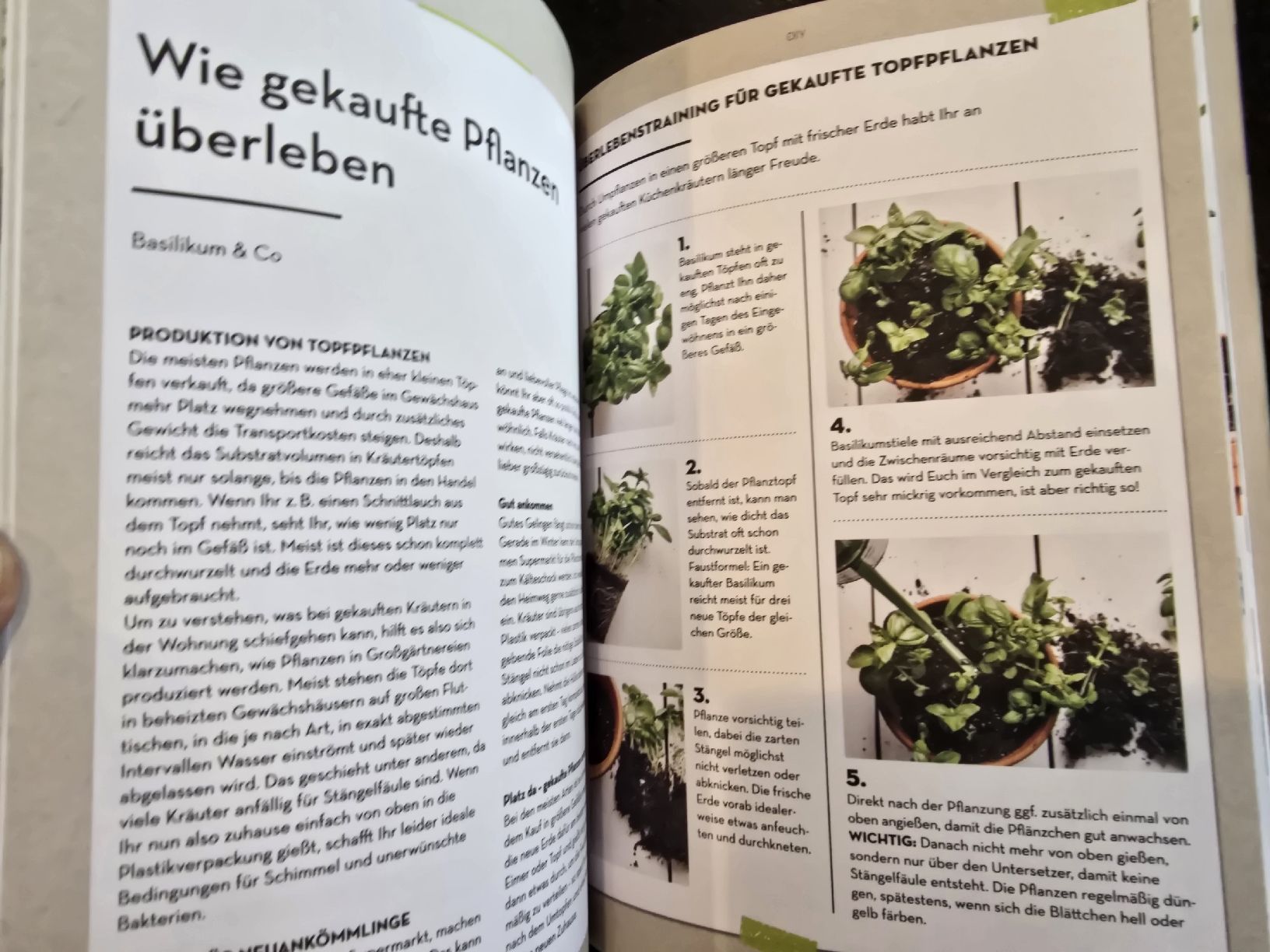 Libri: INDOOR-ERNTE - Es geht auch EINFACH! – Nuovo (secondo la descrizione) da St. Gallen venduto da charly92 7